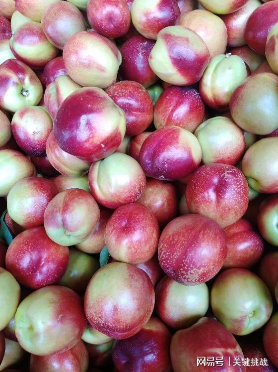 “网”联天下 “链”通城乡 南阳以互联网思维拓宽大宗农产品与日用百货双向销路