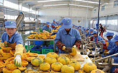 藏在海南农村的致富好项目 日用百货篇