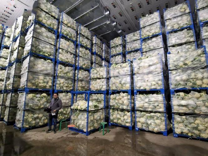 莘县农产品冷链仓储物流项目 日用百货流通新引擎助力乡村振兴