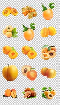 初级农产品PNG展板 从素材到设计的全方位指南