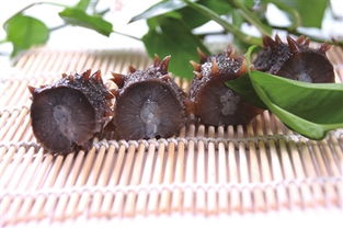 2019上海新春农产品大联展 聚焦初级农产品，点亮新春“菜篮子”