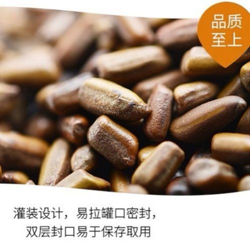 养生花茶新选择 品味决明子茶与草本伴侣的和谐之美